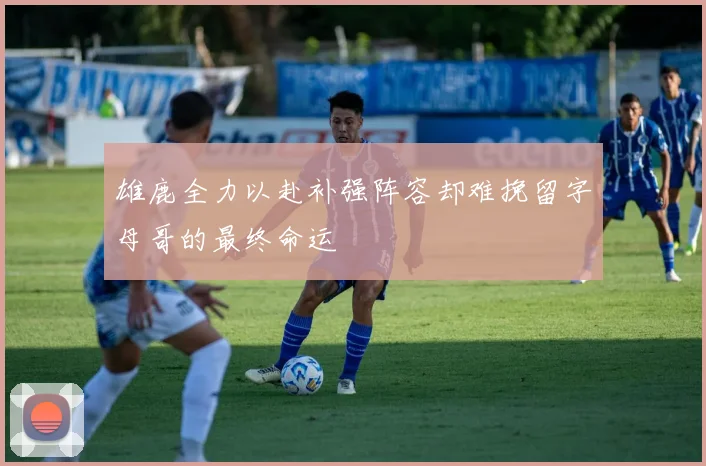 雄鹿全力以赴补强阵容却难挽留字母哥的最终命运